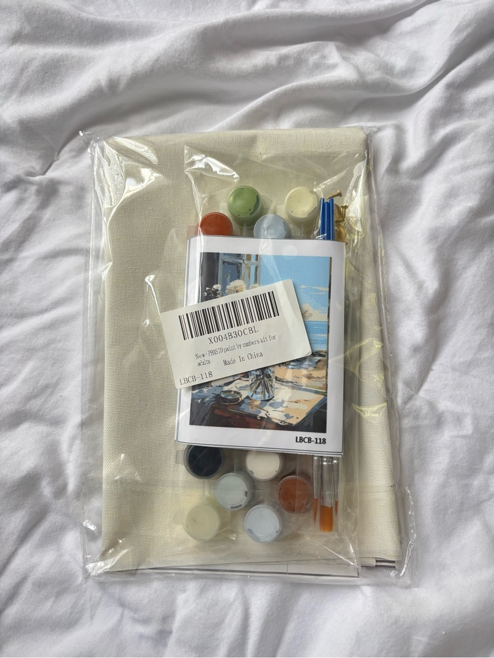 Paint-by-Number Canvas Kit in Cream with Multicolor Paints